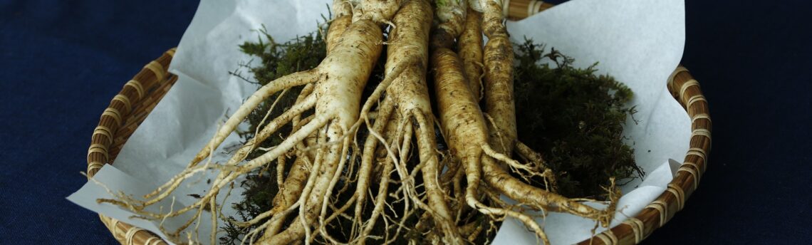 Caffè al ginseng, unione energizzante