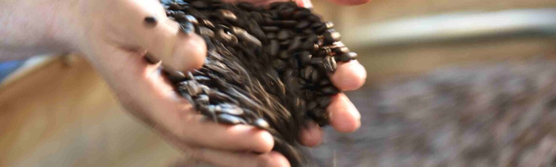 Il caffè è un fenomeno culturale