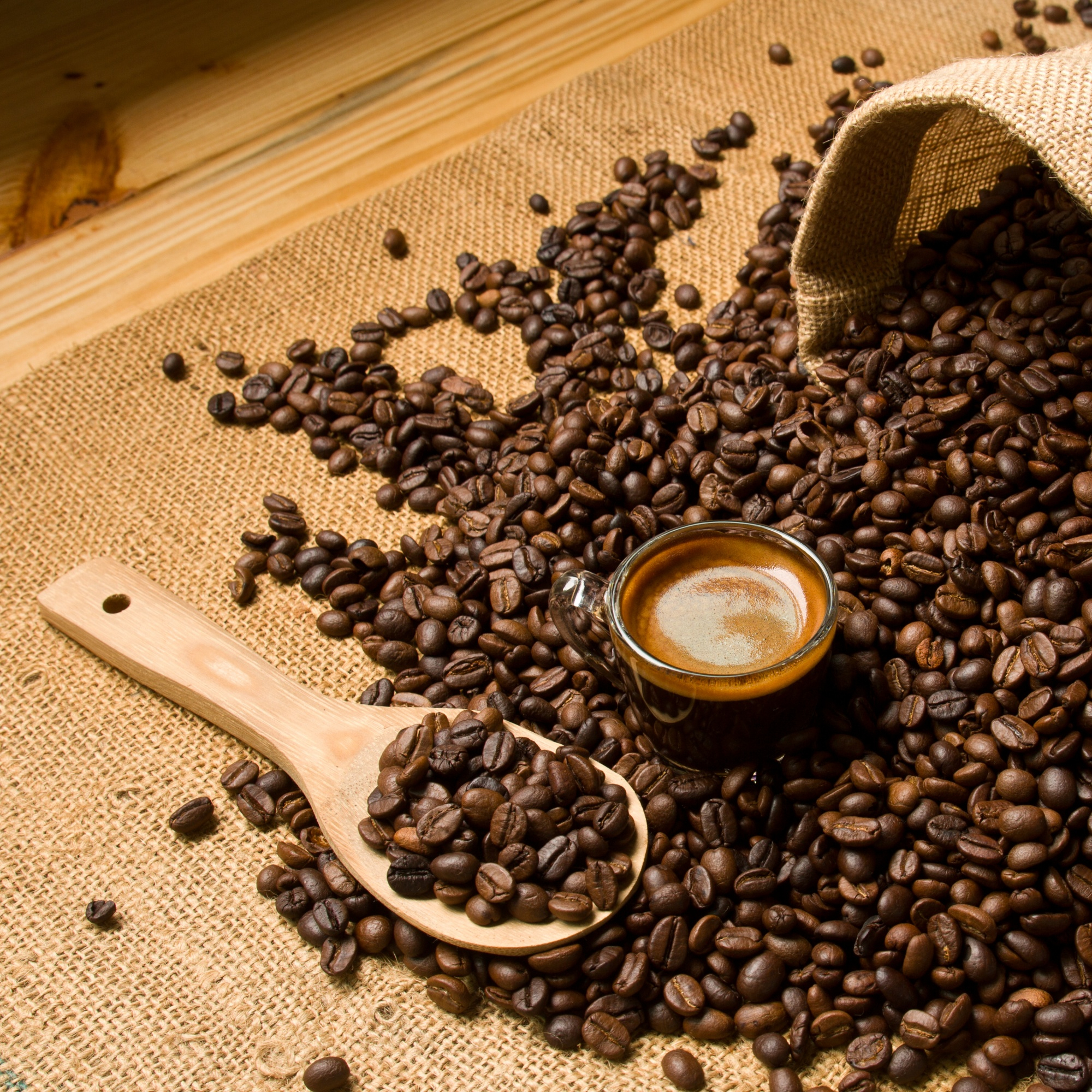 food-bean-breakfast-handle-natural